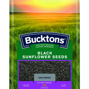 Bucktons Black Sunflowers