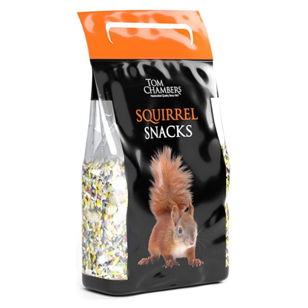 Squirrel Snacks