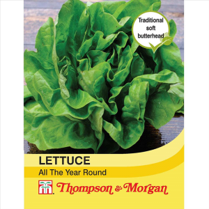 Lettuce All Year Round