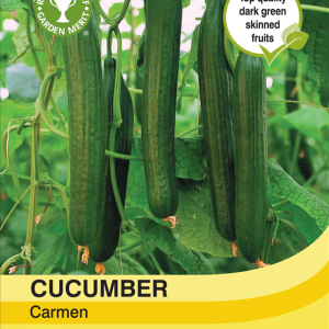 Cucumber Carmen