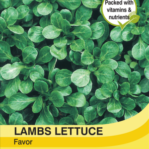 Lambs Lettuce Favor