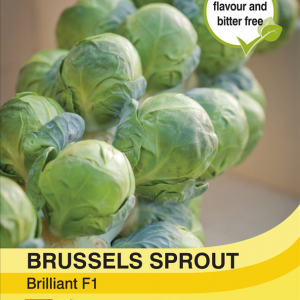 Brussels Sprout Brilliant F1