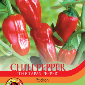 Pepper Chilli Padron