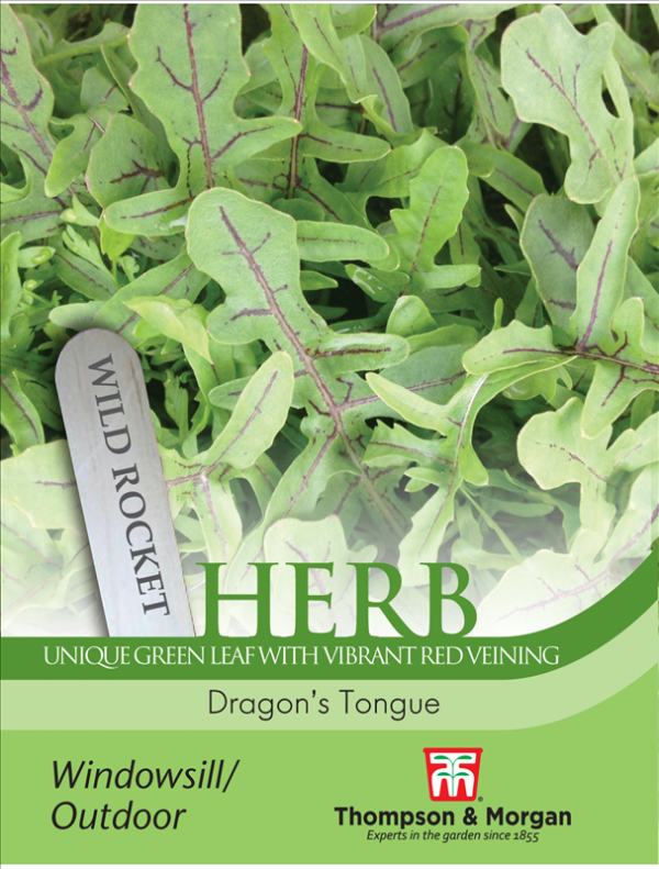 Herb Rocket Dragons Tongue