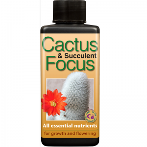 Cactus Focus  100ml