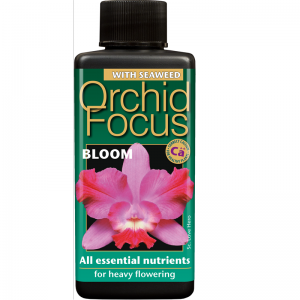 Orchid Bloom 300ml
