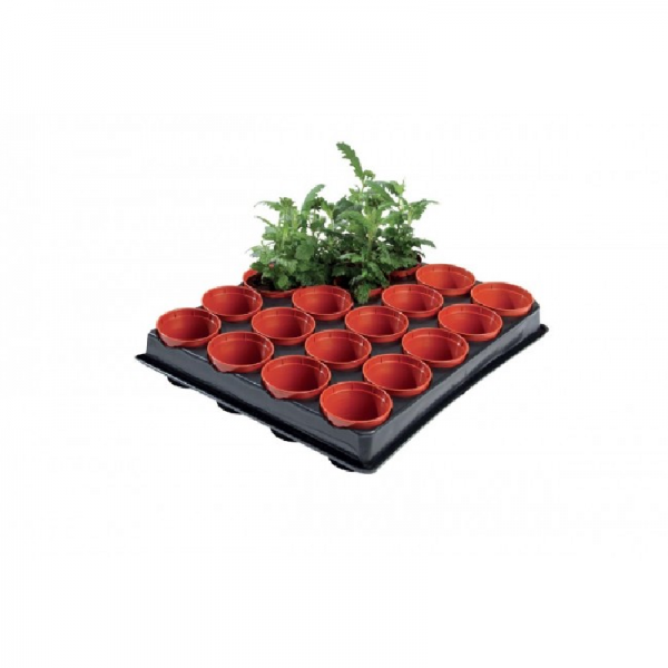 Professional Mini Seed and Cutting Tray 20 x 6cm Pots