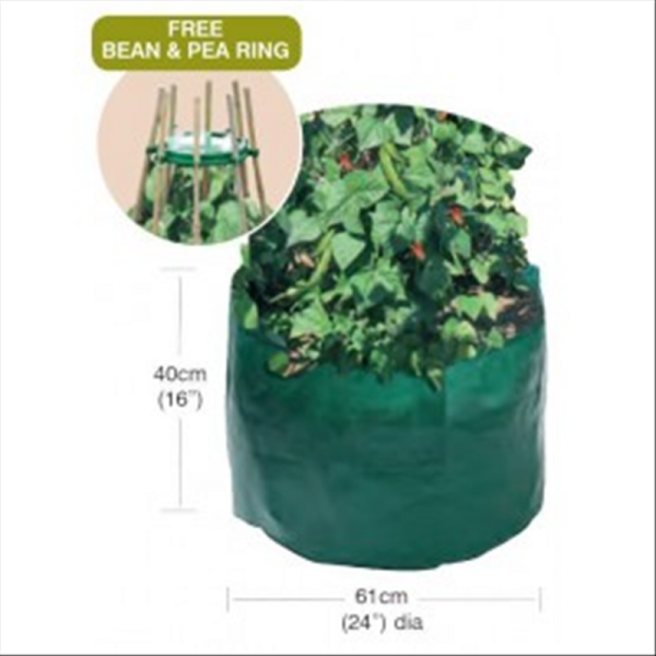 Bean & Pea Bag with FREE Bean & Pea Ring