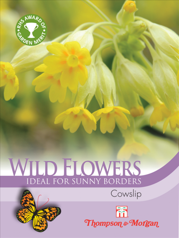 Wild Flower Cowslips