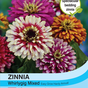 Zinnia Whirlygig Mixed