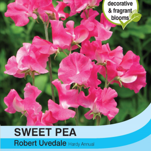 Sweet Pea Robert Uvedale