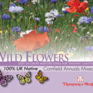 Wild Flower Cornfield Annuals