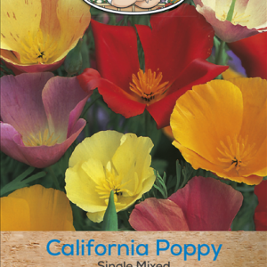 Californian Poppy Single