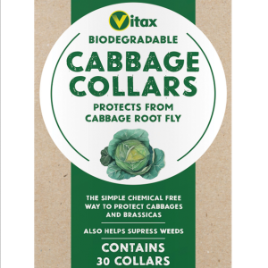 Cabbage Collars X 30
