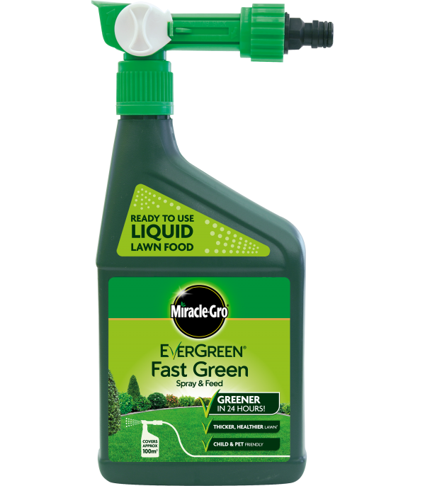 Evergreen® Spray & Feed 1L