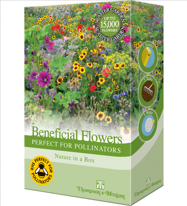 Flowers Perfect for Pollinators