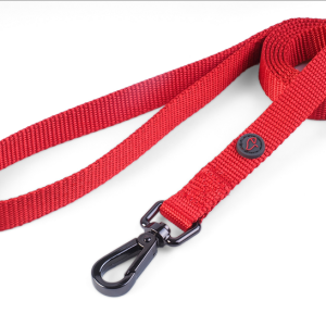 WalkAbout Red Dog Lead - Standard