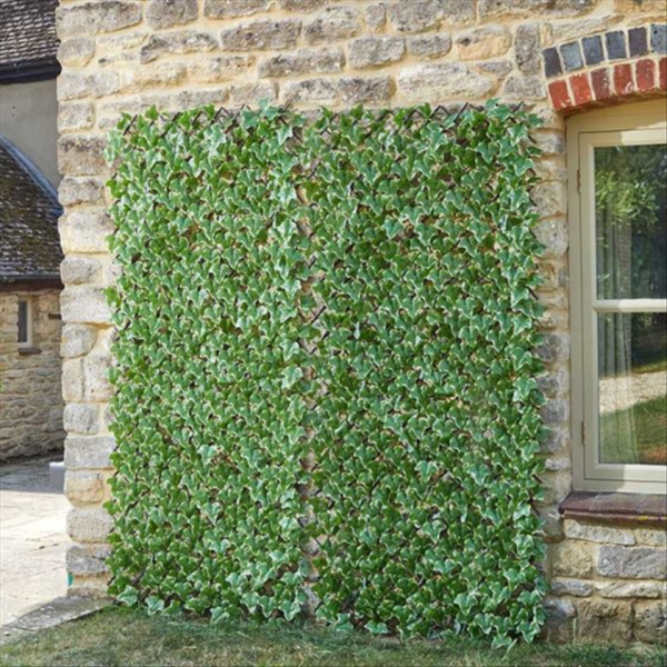 Ivy Leaf Trellis 180 x 90cm