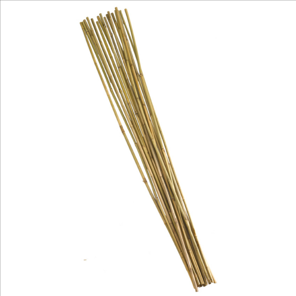 Bamboo Canes - 1.8m (10)