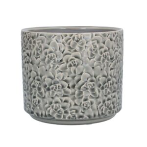 Grey Succulents Ceramic Pot