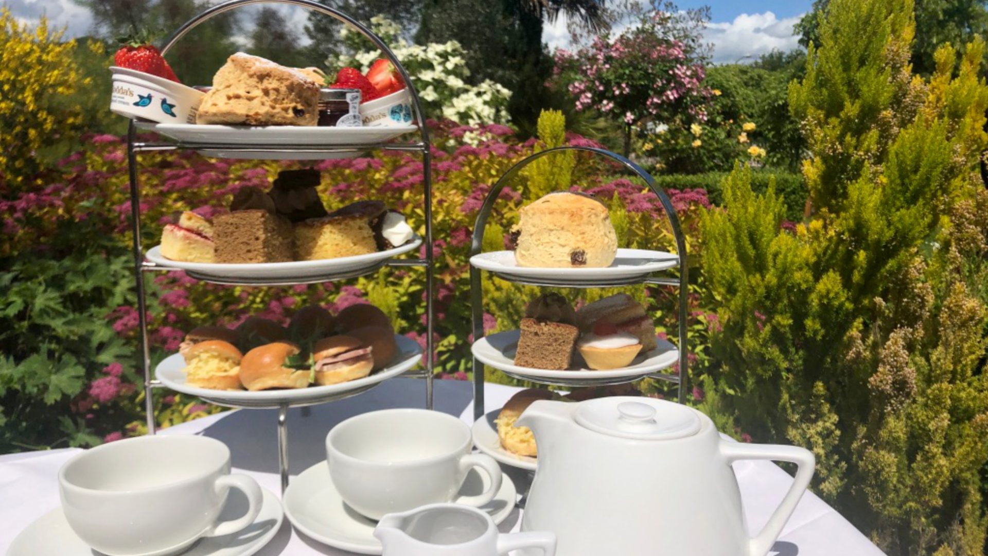 Afternoon Tea Norton Garden Centre
