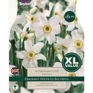 Narcissus Pheasant'S Eye 15 Bulbs
