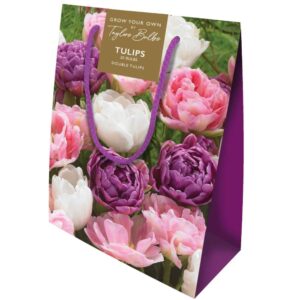 Tulip Doubles Gift Bag