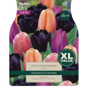 Tulip Cutting Garden 25 Bulbs