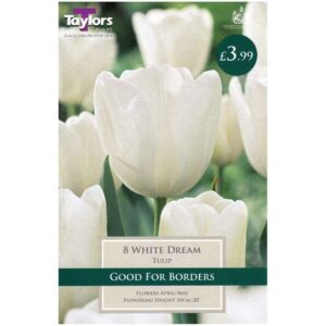 Tulip White Dream 8 Bulbs