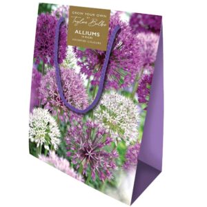 Allium Gift Bag