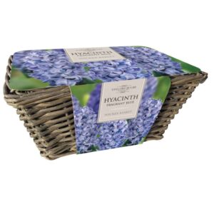 Large Hyacinth Baskets Blue