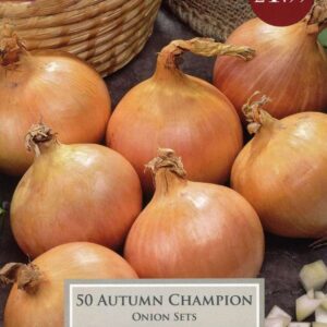 50 Onion Autumn Champion