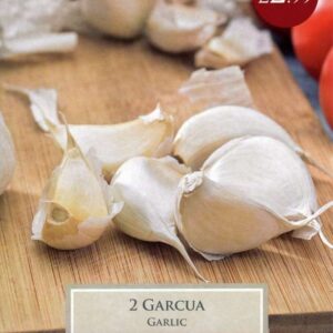 2 Garlic Garcua