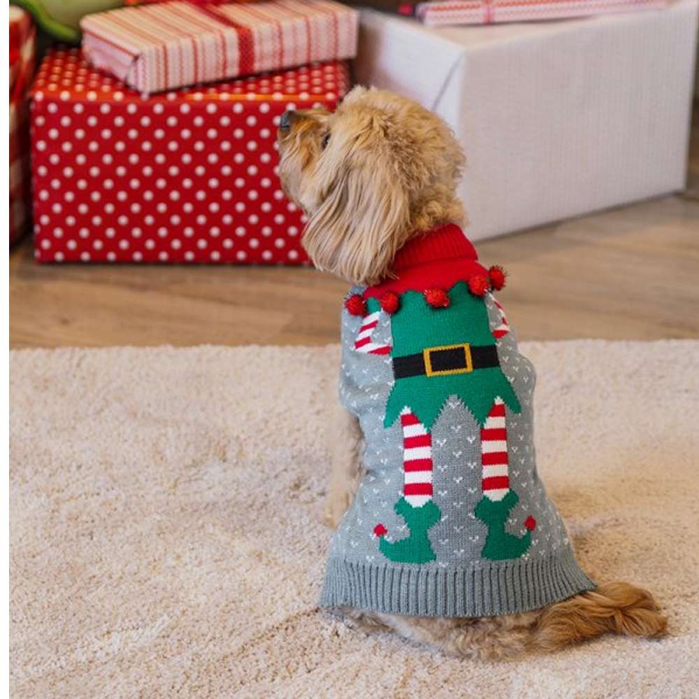 dog elf jumper