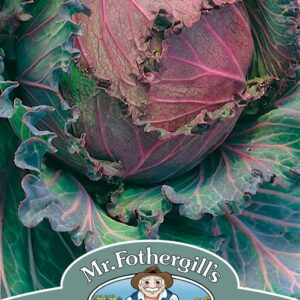 Cabbage Savoy January