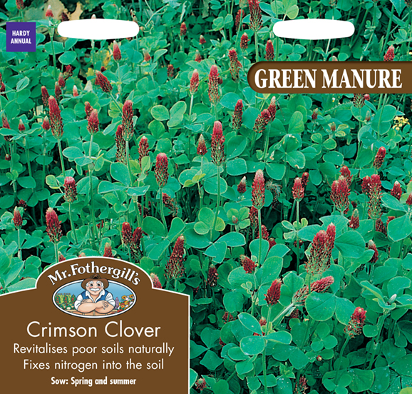Green Manure Crimson