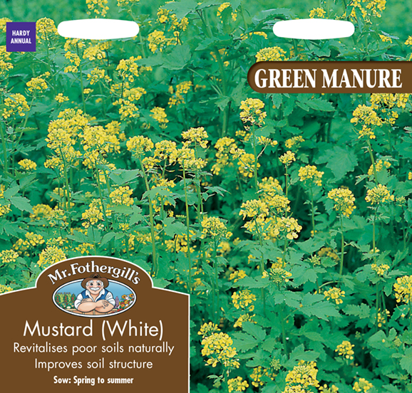 Green Manure Mustard