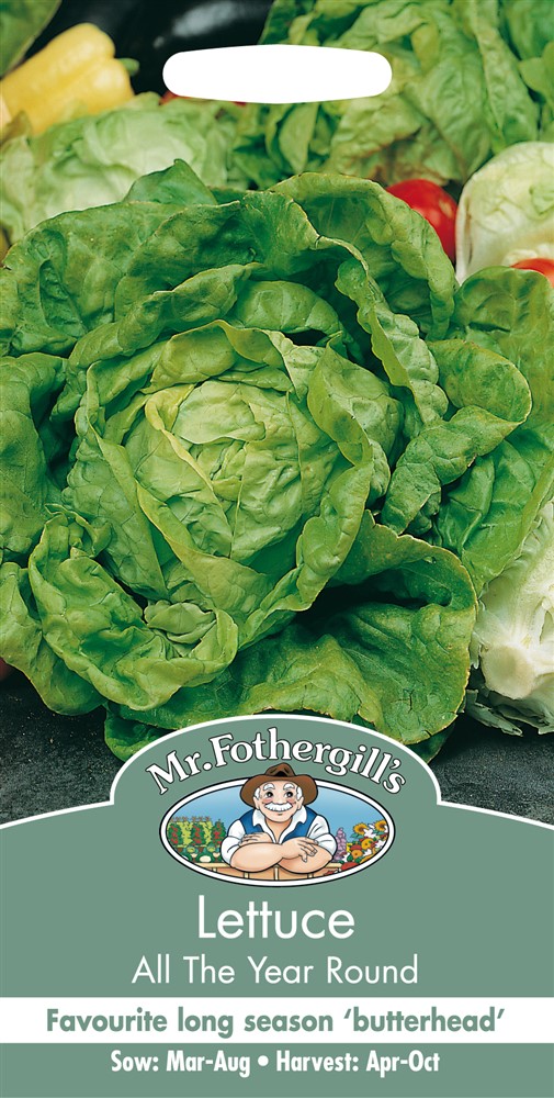 Lettuce All The Year Round
