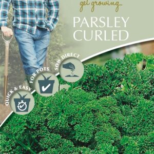 DD Parsley Curled