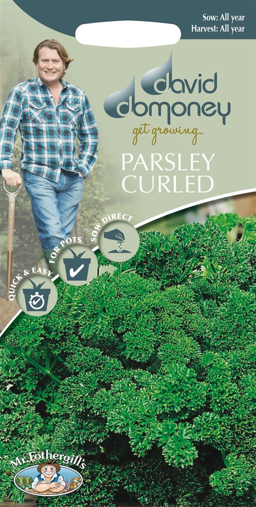 DD Parsley Curled