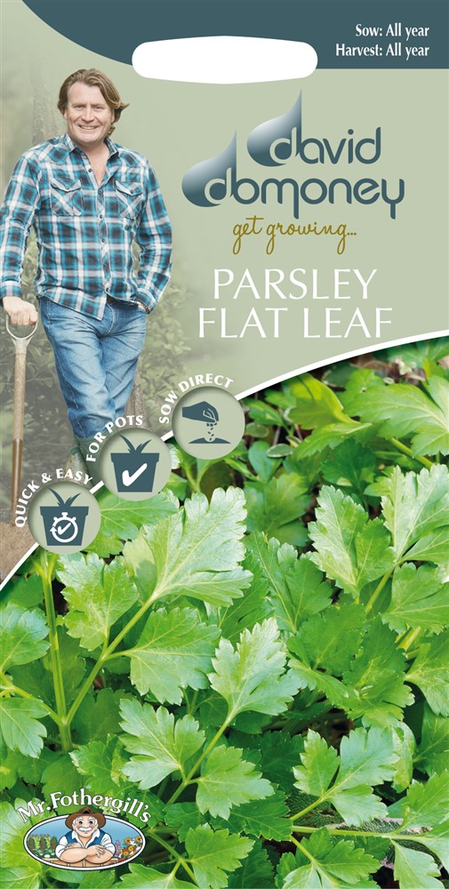 DD Parsley Flat