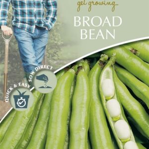 DD Broad Bean