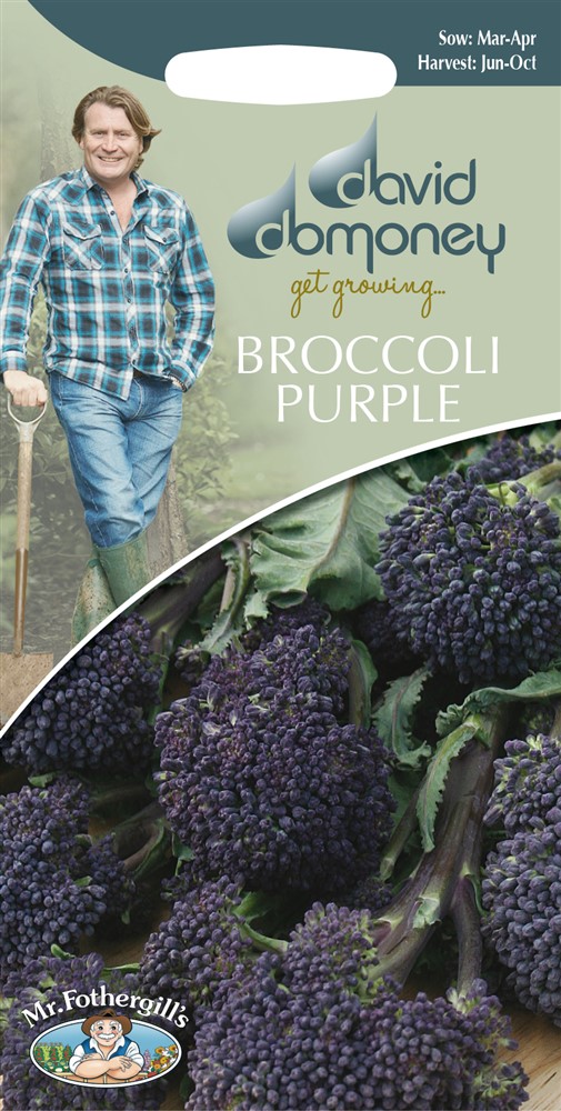DD Broccoli Purple