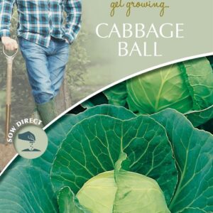 DD Cabbage Ball