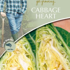 DD Cabbage Heart