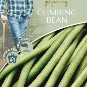 DD Climbing Bean