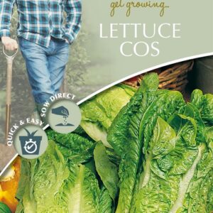 DD Lettuce Cos