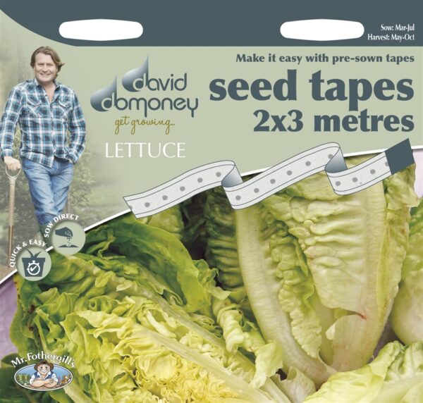 DD Tape Lettuce Little Gem