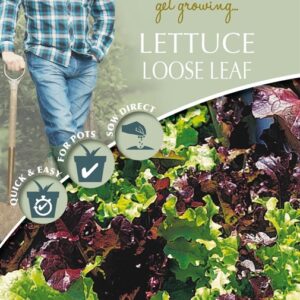 DD Lettuce Loose Leaf