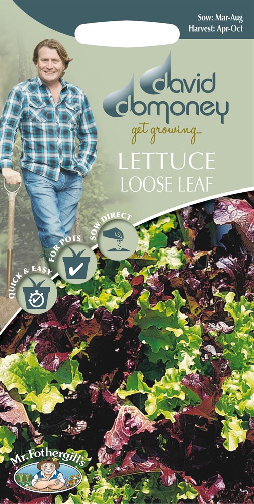DD Lettuce Loose Leaf